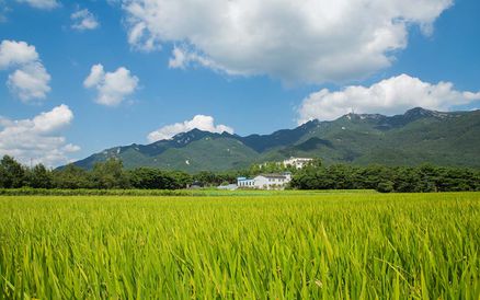 메인센터 자연 풍경