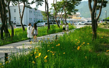 메인센터의 모습